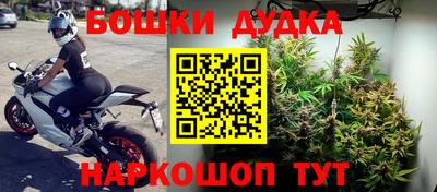 ГАЛЛЮЦИНОГЕННЫЕ ГРИБЫ Кулебаки