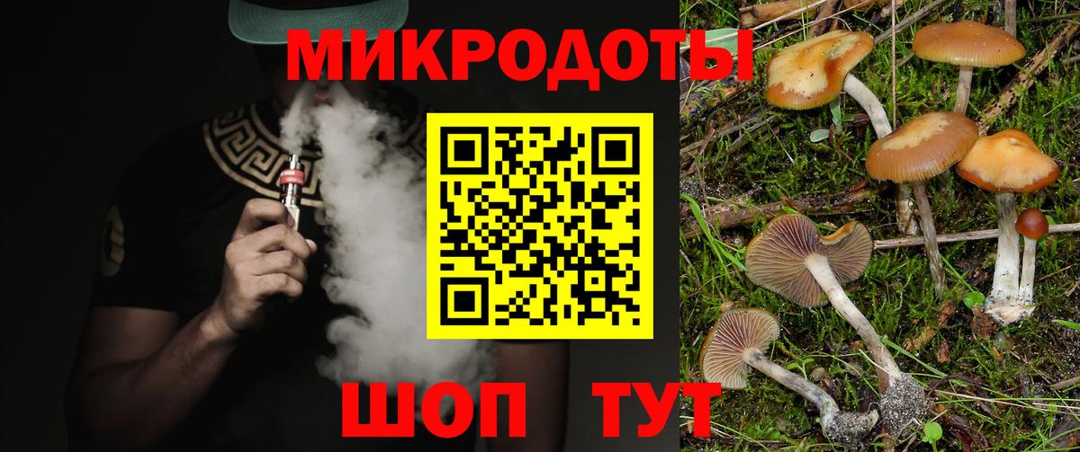 Псилоцибиновые грибы Psilocybe  Вход с VPN  Саратов  Галлюциногенные грибы мухоморы 